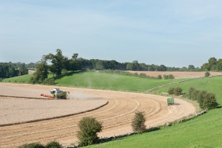 Kemble Farms