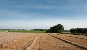 Kemble Farms