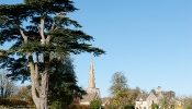 Kemble Farms
