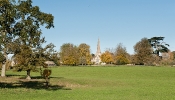 Kemble Farms