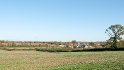 Kemble Farms