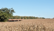 Kemble Farms