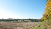 Kemble Farms