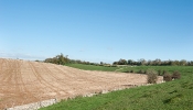 Kemble Farms