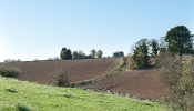 Kemble Farms