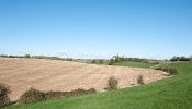 Kemble Farms