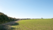 Kemble Farms