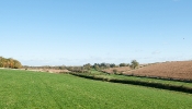 Kemble Farms