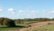 Kemble Farms