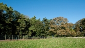 Kemble Farms