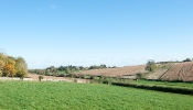 Kemble Farms