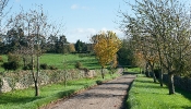 Kemble Farms