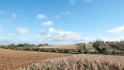 Kemble Farms