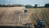 Kemble Farms