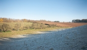 Kemble Farms