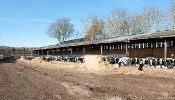 Kemble Farms