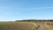 Kemble Farms