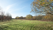 Kemble Farms