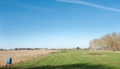 Kemble Farms