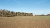 Kemble Farms