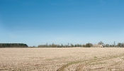 Kemble Farms