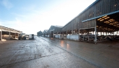 Kemble Farms