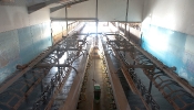 Kemble Farms