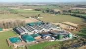 Kemble Farms