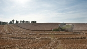 Kemble Farms